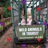 Allan Cramb - @allan.cramb - TikTok