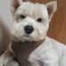 Alan Crampton - Facebook