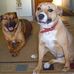 Alan Craven - Facebook