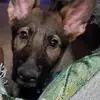 Allen Craven - @allen.craven - TikTok