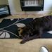 Alan Crawshaw - Facebook