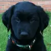 alancreighton393 - @alancreighton393 - TikTok