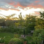 Alan Criddle - @alan_criddle - Instagram