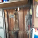 Alan Crippen - Facebook