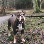 Alan Crofts - @alan69930 - Instagram