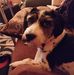 Allen Crofts - Facebook