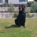 Alan Crombie - Facebook