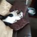 Allan Cromwell - Facebook