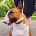 Alan Crosbie - Facebook