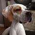 Alan Crosbie - Facebook