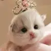 Alanicrossley  - @alanicrossley13 - TikTok