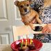 Allen Criswell - Facebook