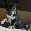 Alan Crowder - @alan.crowder0 - TikTok