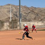 Alan Crowe - @dabird3264 - Instagram