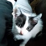 Allan Cuadra - @allan.cuadra - Instagram