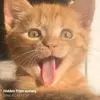 Farru Atrgt - @alancuadraff - TikTok