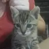 Luna Lancuba - @lunalancuba - TikTok