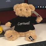 Alan Cuffburt - @alancuffburtthebear - Instagram