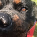 Alan - @_alan_cullen_ - Instagram