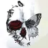 Alan Scully - @alan.scully3 - TikTok