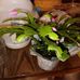 Alan Cundiff - Facebook