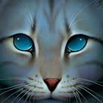 Alan Thomas Cupp - @callme_jayfeather - Instagram