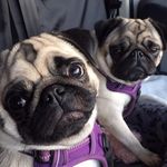 Alan Cuthbert - @peanut_fudge_ - Instagram