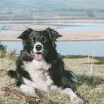 Alan Cuthbert - @cub8ball - Instagram