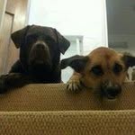 Alan Cuthbertson - @atc211057 - Instagram