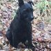 Alan Cuthbertson - Facebook