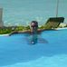 Alan Dague - Facebook