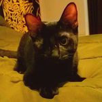 Alan Daigle - @uzghul - Instagram