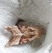 Alan Daines - Facebook