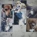 Alan Dakin - Facebook