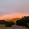 Alana Dakin - @alana.dakin - TikTok
