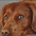 Alain Damiani - Facebook
