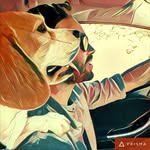 Alan Damiani - @__alan__j_ - Instagram