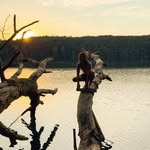 Alan Dancewicz - @alandancewicz - Instagram