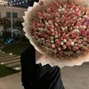 Alan Daniel - @alan.daniel.06 - TikTok