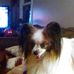 Alan Daniels - Facebook