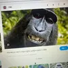 Alan Danielson - @alan.danielson4 - TikTok