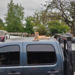 Alan Dante - @alan.dante.129 - Instagram