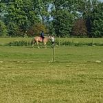 Alan Dardenne - @dardennealan - Instagram