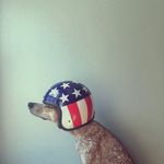 Alan M. Darling - @alan.m.darling - Instagram