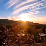 الند آریایی - @alandaryaee - Instagram