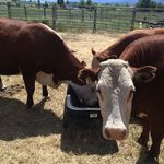 Alan Daugherty - @alan_daugherty - Instagram