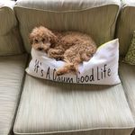 Alan Daum - @al_daum - Instagram