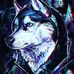Alan Defelice - Facebook