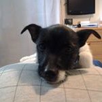 Alan Dempsey - @alan.dempsey - Instagram