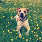 Alan Dempsey - @adempsey81 - Instagram